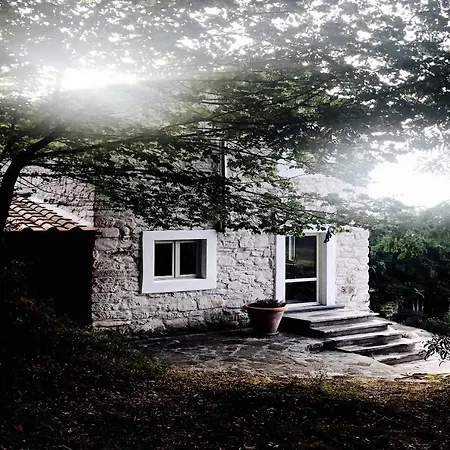 Деревянный коттедж Pippo's Little *