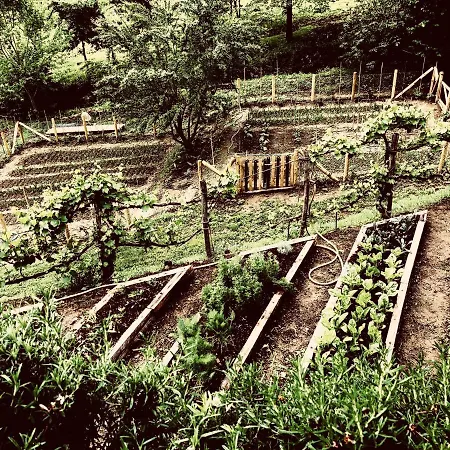 Pippo's Little Деревянный коттедж *